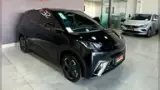 BYD Dolphin Mini - Miniatura 1