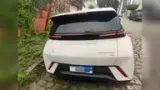 BYD Dolphin Mini - Miniatura 2