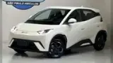BYD Dolphin Mini - Miniatura 1