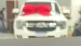 BYD Dolphin - Miniatura 17