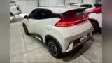 BYD Dolphin Mini - Miniatura 4