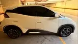 BYD Dolphin Mini - Miniatura 3