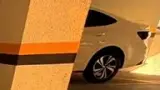 BYD Dolphin Mini - Miniatura 4