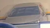 BYD Dolphin Mini - Miniatura 6