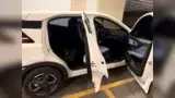 BYD Dolphin Mini - Miniatura 7