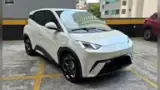 BYD Dolphin Mini - Miniatura 2