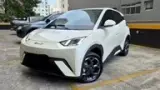 BYD Dolphin Mini - Miniatura 3