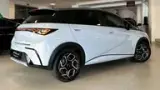 BYD Dolphin Plus - Miniatura 6