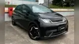 BYD Dolphin - Miniatura 1