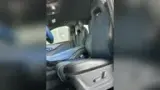 BYD Dolphin - Miniatura 20