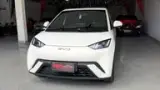 BYD Dolphin Mini - Miniatura 4