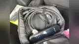 BYD Dolphin Mini - Miniatura 6