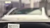 BYD Dolphin - Miniatura 11