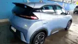 BYD Dolphin Mini - Miniatura 5