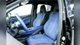 BYD Dolphin Mini - Miniatura 7