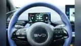 BYD Dolphin Mini - Miniatura 16