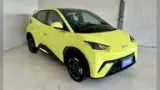 BYD Dolphin Mini - Miniatura 5