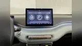 BYD Dolphin Mini - Miniatura 16