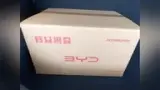 BYD Dolphin - Miniatura 8