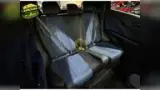 BYD Dolphin Mini - Miniatura 16