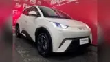 BYD Dolphin Mini - Miniatura 8