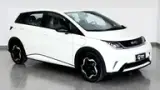BYD Dolphin - Miniatura 1