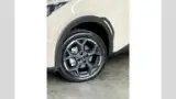 BYD Dolphin - Miniatura 6
