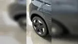 BYD Dolphin Plus - Miniatura 7
