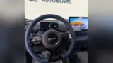 BYD Dolphin Mini - Miniatura 8