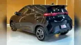 BYD Dolphin Mini - Miniatura 4