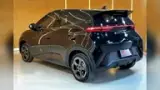 BYD Dolphin Mini - Miniatura 6