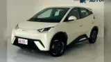 BYD Dolphin - Miniatura 1