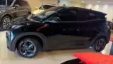 BYD Dolphin Mini - Miniatura 2
