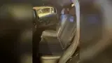 BYD Dolphin Mini - Miniatura 8