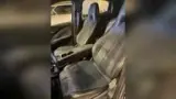 BYD Dolphin Mini - Miniatura 9