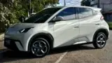 BYD Dolphin Mini - Miniatura 2