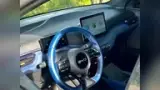BYD Dolphin Mini - Miniatura 3