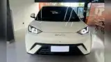 BYD Dolphin Mini - Miniatura 3