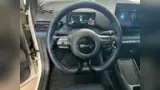 BYD Dolphin Mini - Miniatura 9