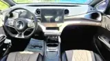 BYD Dolphin - Miniatura 12
