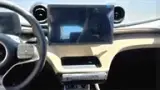 BYD Dolphin - Miniatura 14