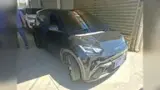 BYD Dolphin Mini - Miniatura 4