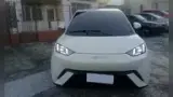 BYD Dolphin Mini - Miniatura 2