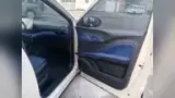 BYD Dolphin Mini - Miniatura 4