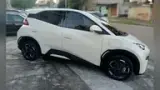 BYD Dolphin Mini - Miniatura 5