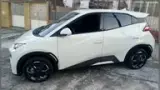 BYD Dolphin Mini - Miniatura 15
