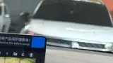 BYD Dolphin Mini - Miniatura 2