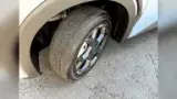 BYD Dolphin Mini - Miniatura 10