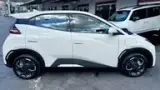 BYD Dolphin Mini - Miniatura 6