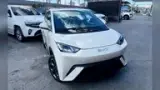 BYD Dolphin Mini - Miniatura 15